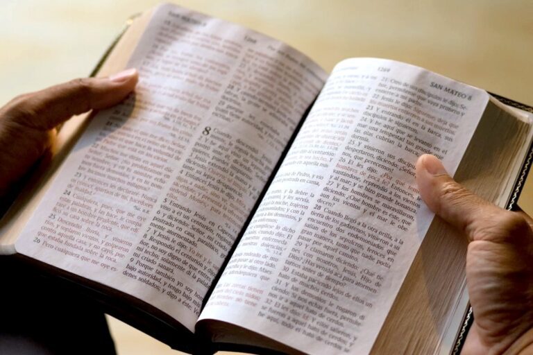 La Biblia y el aspirante a gobernante