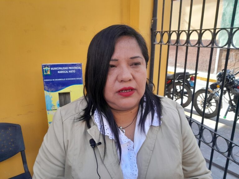 Anuncian la apertura de ludotecas en Chen Chen, San Francisco y el cercado de Moquegua