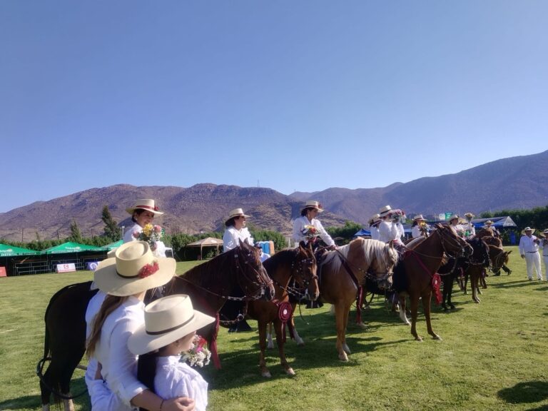 Hoy se inicia el IV Concurso Interdistrital del Caballo Peruano de Paso Sabandía
