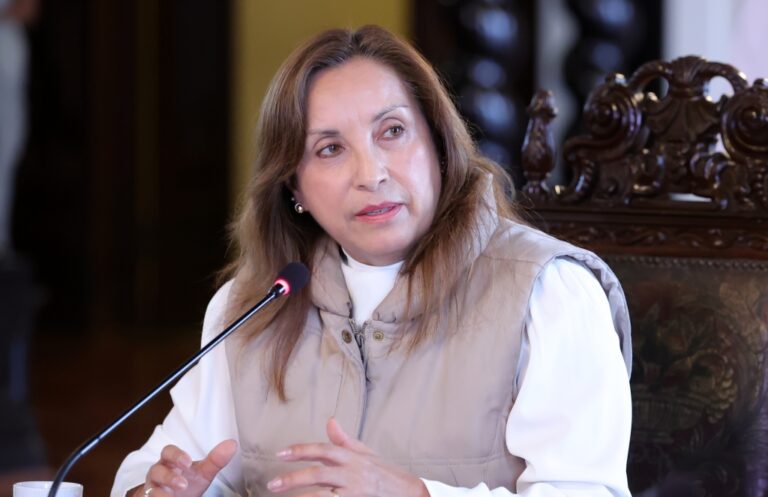 Dina Boluarte habría pausado su agenta por cirugías estéticas en 2023