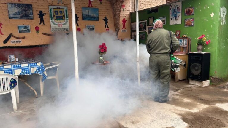 Van dos casos autóctonos: inician fumigación contra el dengue en Cocachacra