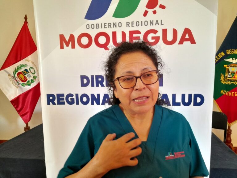 Diresa sobre el dengue: Existe la probabilidad que el mosquito ya haya llegado a Ilo
