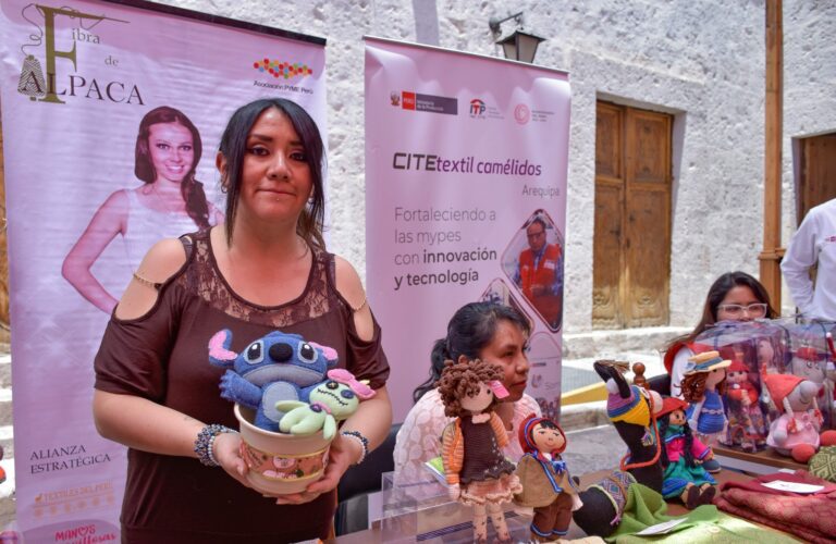 Gerencia de Trabajo: fuerza laboral de Arequipa se concentra en las Mypes