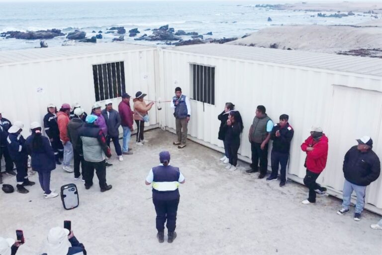 Fortalecerán control y vigilancia de extracción ilegal de erizo rojo y macroalgas