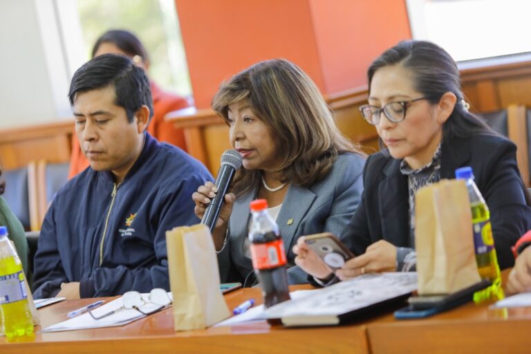 Año 2024: reportan 115 casos de violencia entre estudiantes en la región Arequipa 