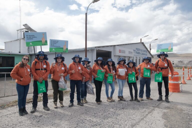 Trabajadores de Cerro Verde realizan limpieza de bofedales en Salinas y Aguada Blanca 
