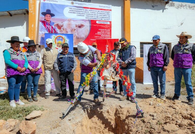 En marcha proyecto para fortalecer la producción pecuaria en Cairani