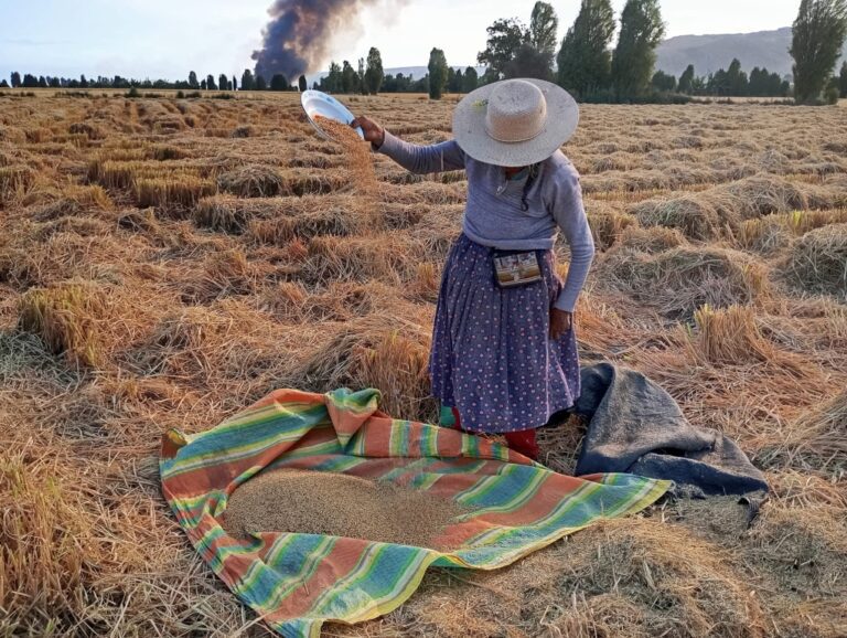 Cocachacra: Día del Campesino se celebrará el 21 de junio