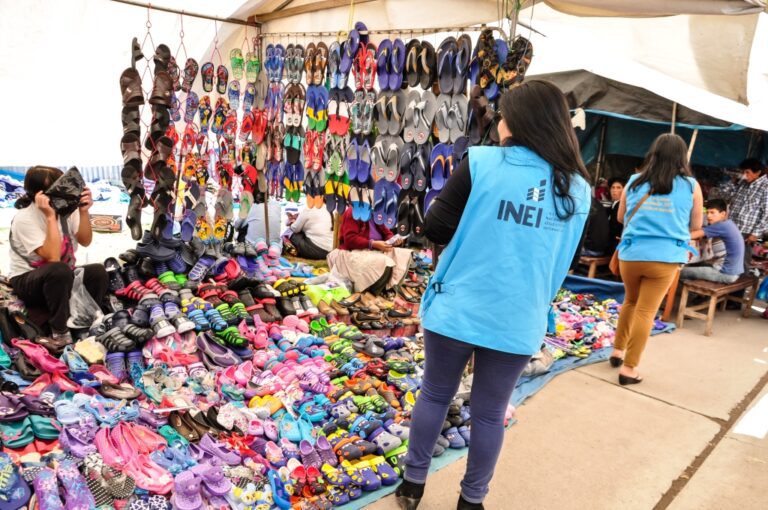 ¿Regiones competitivas?: vulnerabilidad económica de las familias del sur peruano