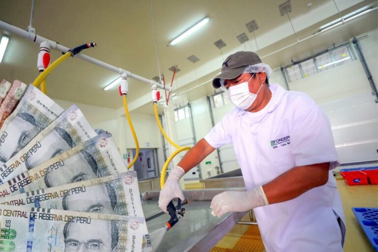 Las carreras profesionales con pocas perspectivas salariales en el sur peruano