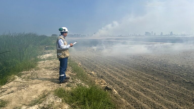 OEFA verificó campos de cultivo tras quema de rastrojos en el valle de Tambo