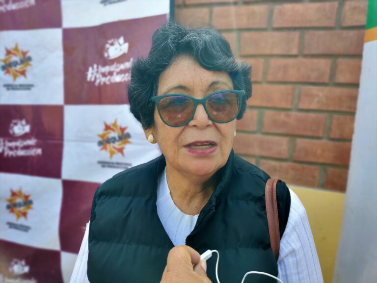 Vicegobernadora sobre Tía María: “La población debe manifestar cuál es su consentimiento social”