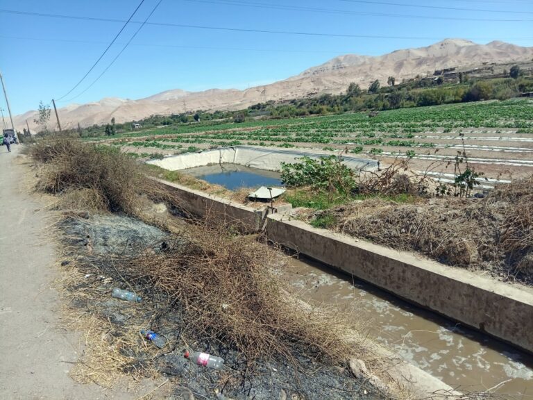 ¡Desastre! Tubería de la PTAR Omo colapsa y aguas residuales contaminan cultivos, canal de regadío y río
