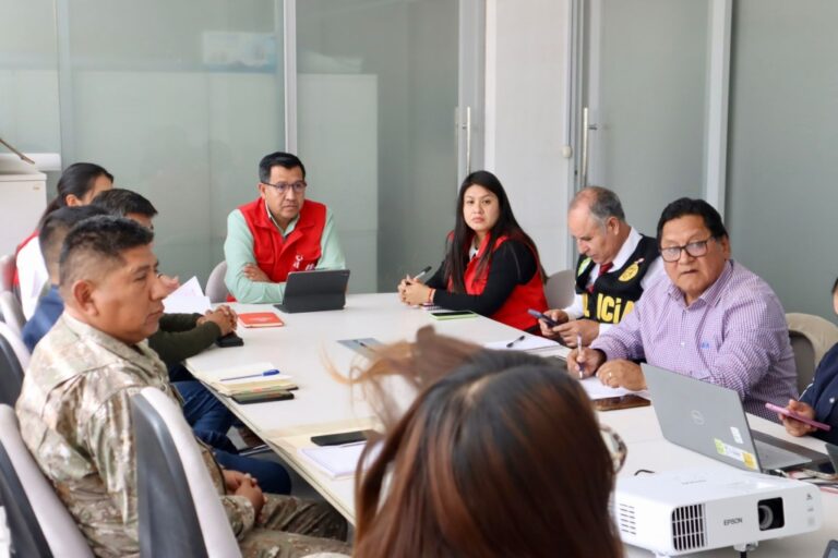 Se reunió la Comisión Regional de Lucha contra los Delitos Aduaneros y Piratería