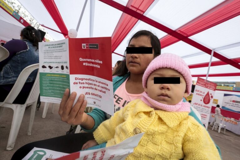 ¿Cuáles son las consecuencias de la anemia en el desarrollo del niño y su futuro?