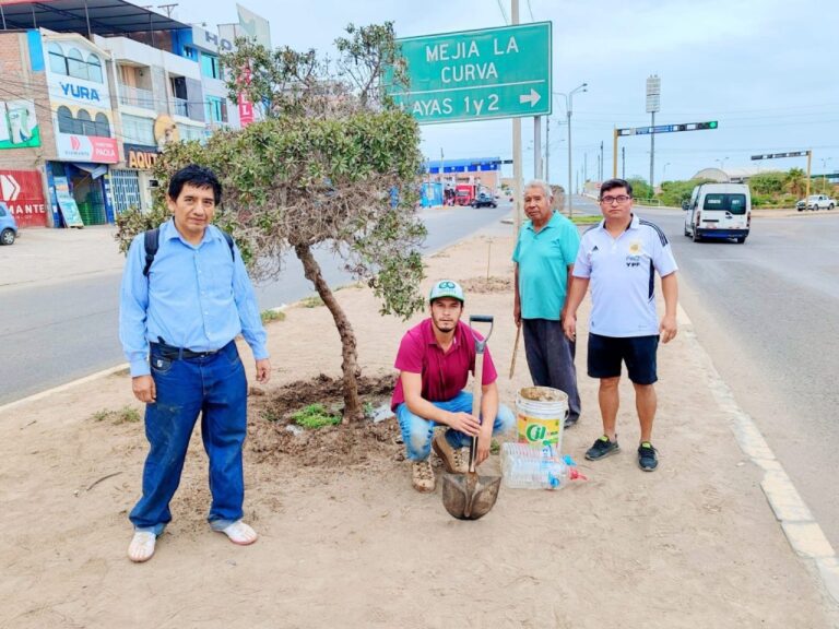 ONG Ecogreen Islay organiza rifa para financiar proyecto de reforestación de lomas de Mollendo