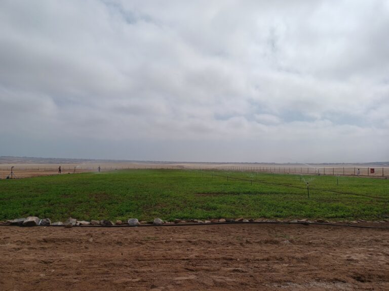 Terrenos en Lomas de Ilo: Una década de promesas incumplidas y el agua no llega 