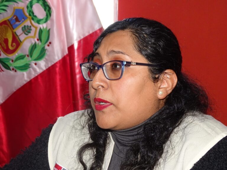 Subprefecta provincial de Islay exhorta a manifestaciones pacíficas contra Tía María