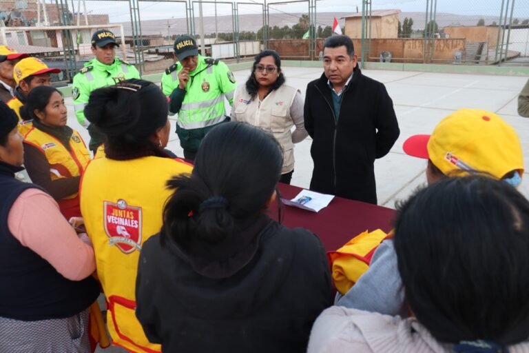 Deán Valdivia: juran integrantes de junta vecinal de Unión Costanera