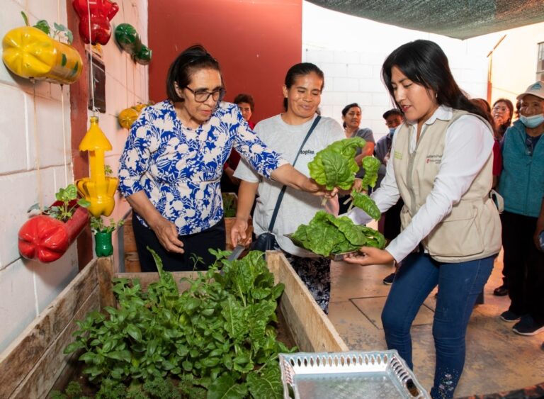 Nueva edición de la Brigada Ambiental Comunitaria de Southern Perú en Ilo