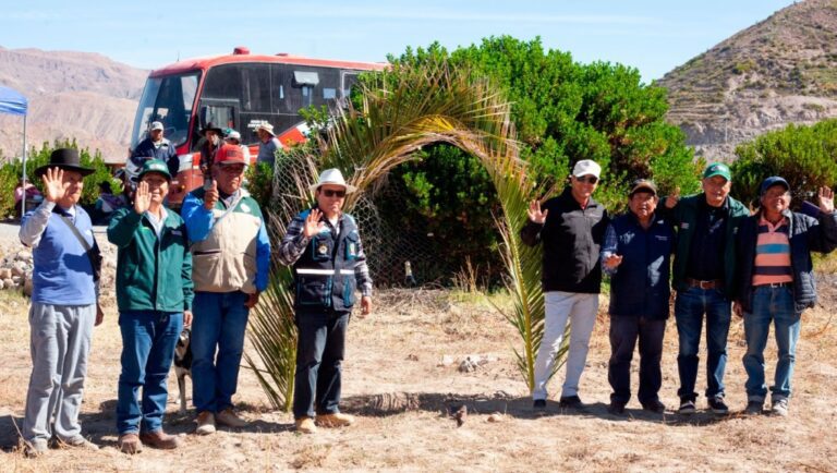 Nuevo proyecto de andenes en Aricota