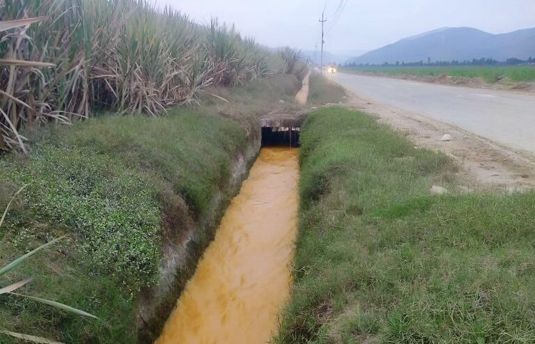 Agricultores se ven obligados a regar cultivos con agua contaminada