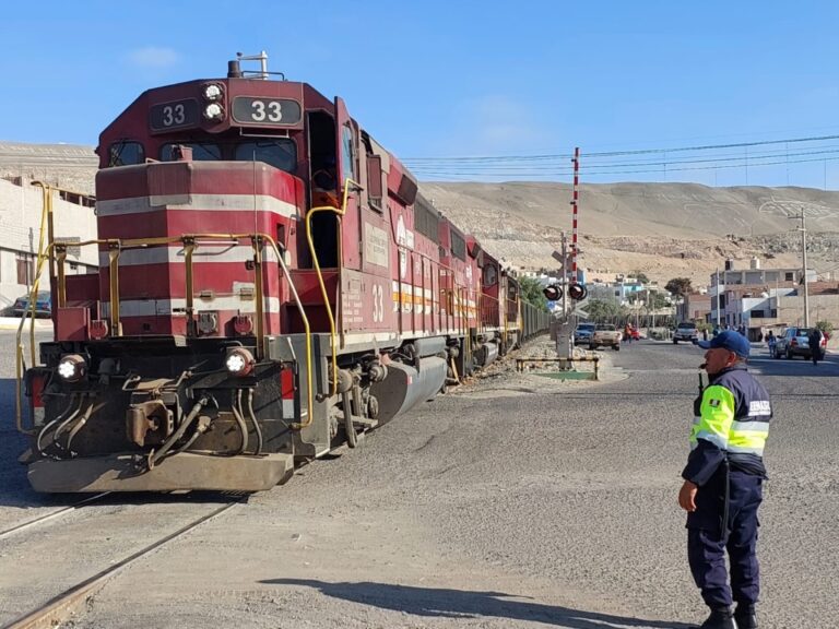 Denuncian el hurto de accesorios de la línea del tren de Southern