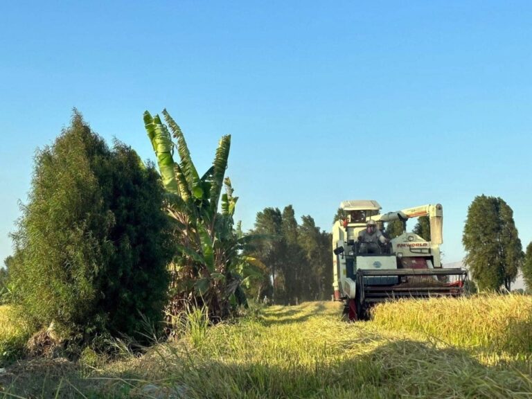 Huber Valdivia: «La minería y la agricultura pueden coexistir de manera sostenible»