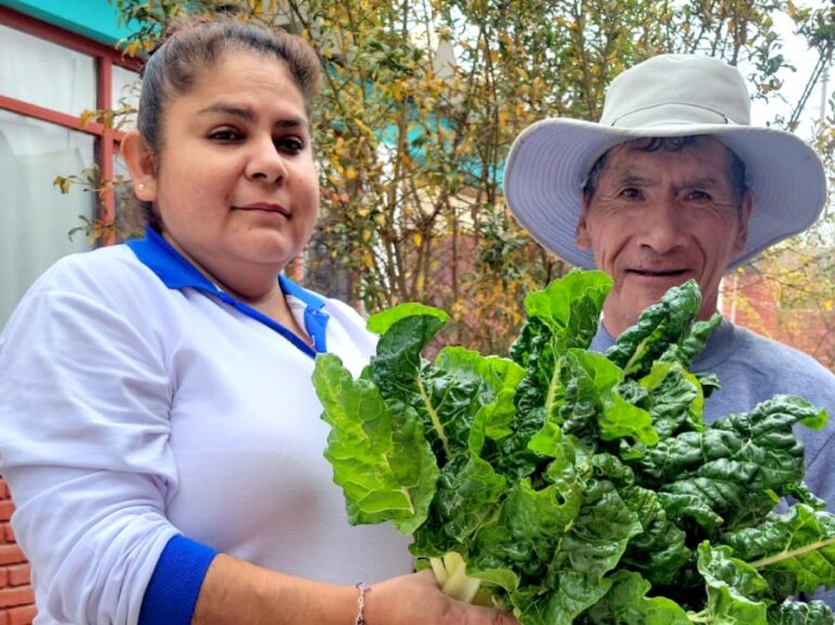 Beneficencia de Mollendo fomenta el bienestar de adultos mayores a través de un biohuerto