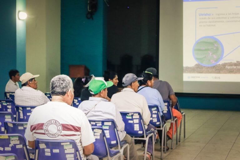Agricultores se capacitarán en taller sobre cultivos de trigo y olivo