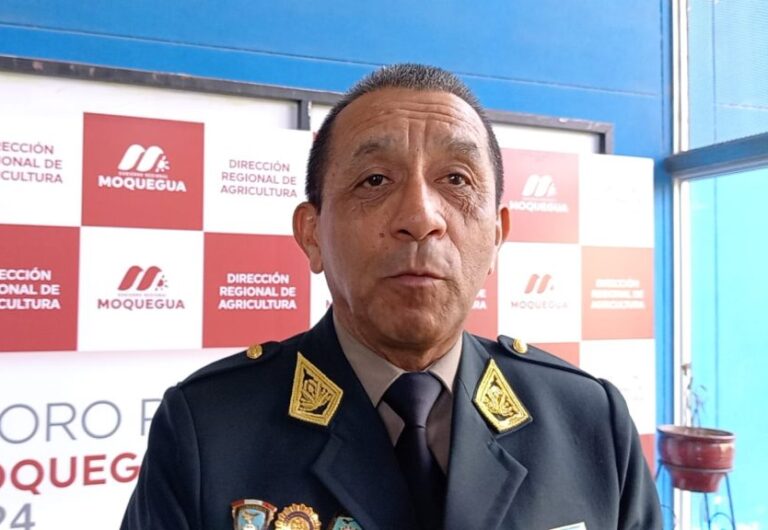 Jefe de la Región Policial solicitó 300 efectivos para Moquegua