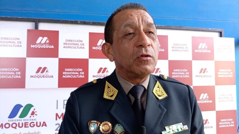 Trinquetes políticos: Más policías, “bien verde”