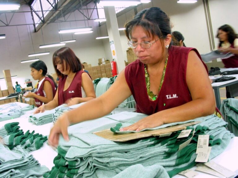 El fuero maternal y la protección contra el despido a la madre trabajadora