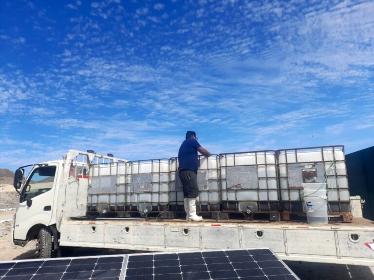 PRODUCE entregó a acuicultores de Ilo más de 2000 alevines de corvina