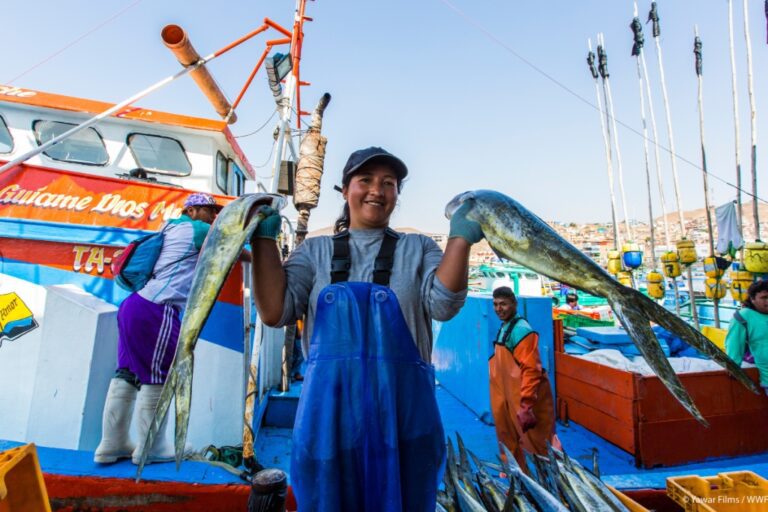 Pescadores artesanales de la macro sur se reunirán el 29 de agosto en Ilo