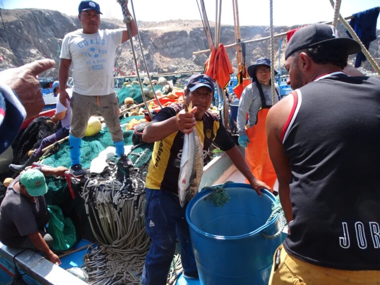 Pescadores artesanales de la macro región sur se reunirán con el ministro de la Producción