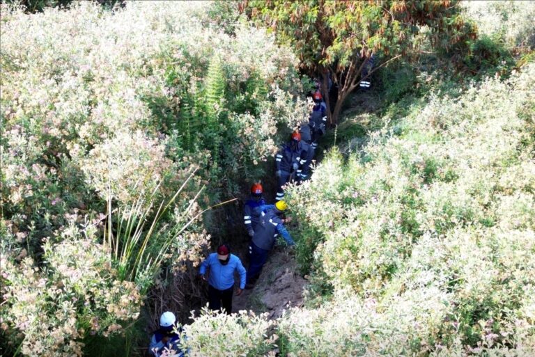 Dirigentes de El Algarrobal se reúnen con proyecto minero ‘Ilo Este’