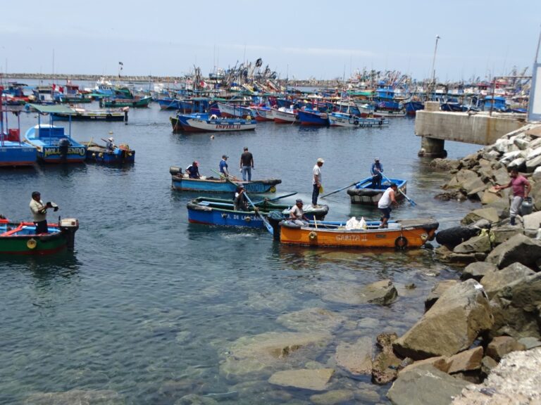 Inscripción abierta para exámenes de patrones, motoristas y marineros de pesca especializado