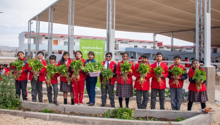Estudiantes de la I.E. Fe y Alegría cosechan cultivos en huerto escolar