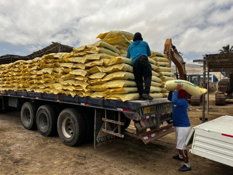 Distribuirán 410 sacos de guano de isla a agricultores de Cocachacra