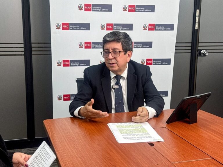Nuevos proyectos en el sur impulsarían un hub portuario con Corío