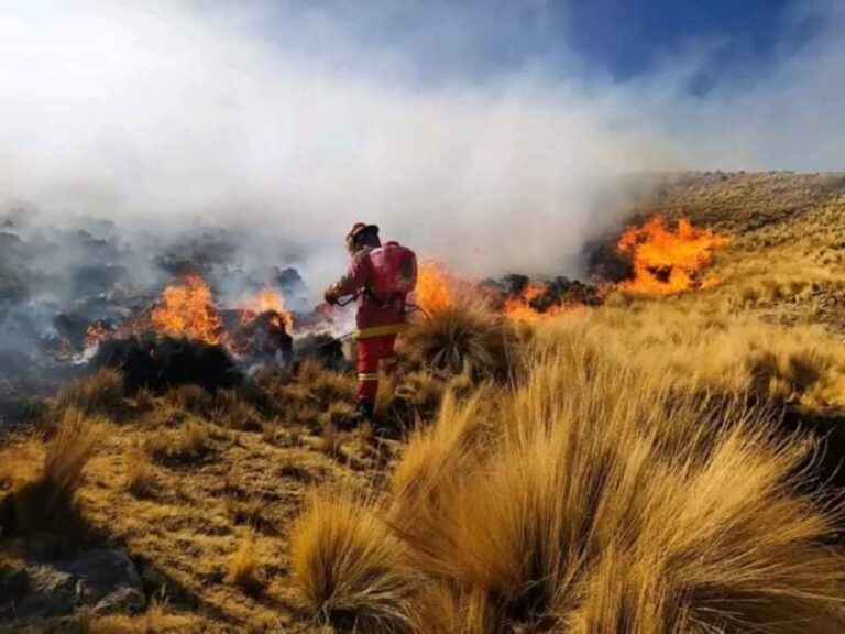 Incendios forestales en Perú dejan 15 fallecidos y 98 heridos en lo que va del año