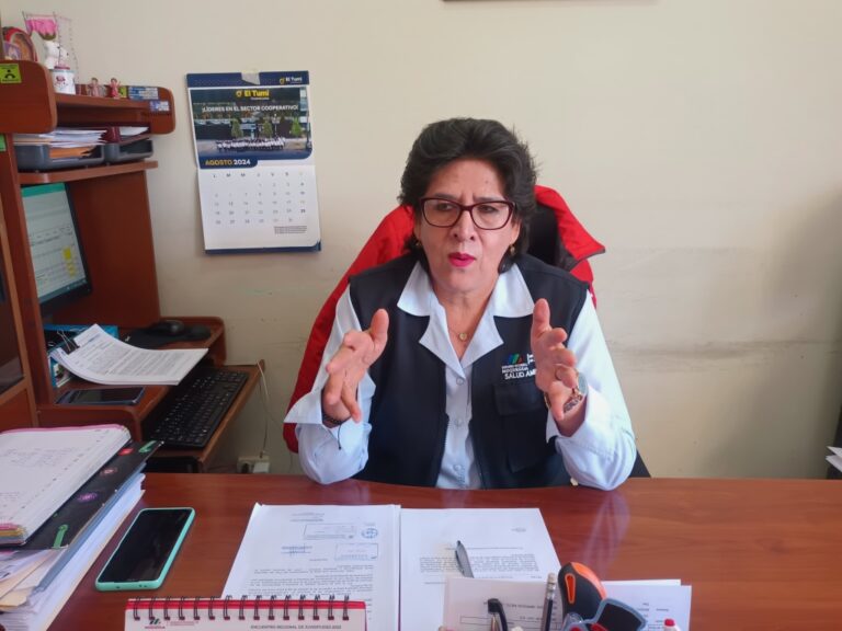 Detectan arsénico en el agua de La Capilla, Chojata, Cuchumbaya y Lloque