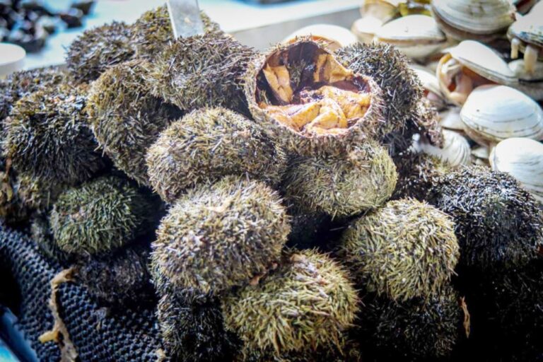 Implementarán plan para aprovechamiento sostenible de mariscos