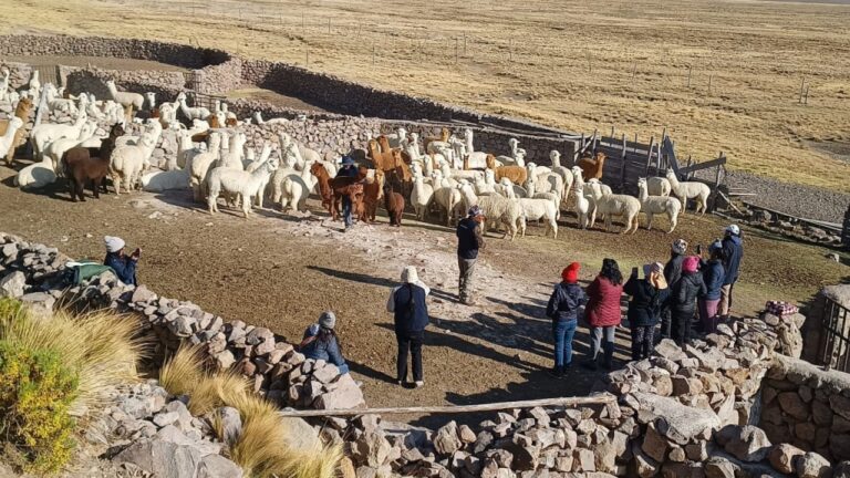 Equipo Merese de la EPS Moquegua y comuneros de Asana realizan pasantía en Salinas y Aguada Blanca