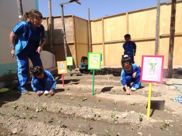 Moquegua: Con biohuerto escolar fortalecerán alimentación de Qali Warma