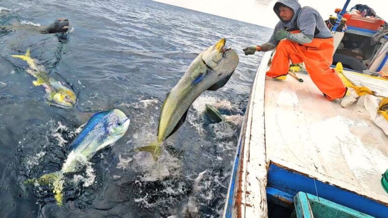 Pescadores artesanales de la macrosur urgen atención del ministro de la Producción