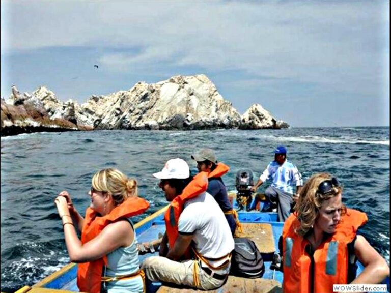 Impulso al Turismo Acuático en Matarani: presentan proyecto de ley