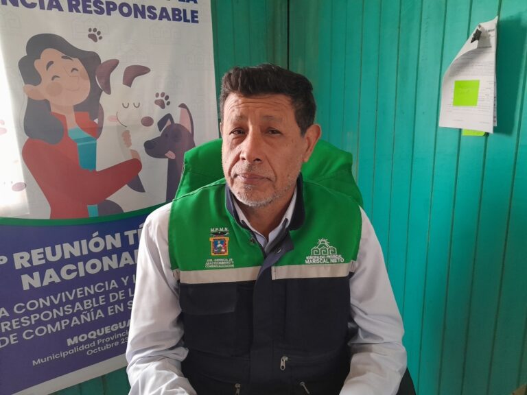 Brote de carbunco sintomático afecta a ganado en la región de Moquegua