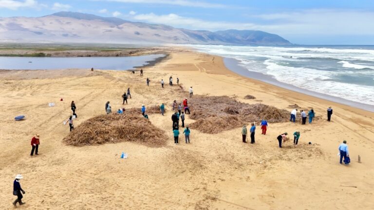 770 voluntarios unen esfuerzos en la limpieza y cuidado de los humedales de Ite